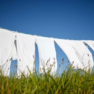 Fresh Linen