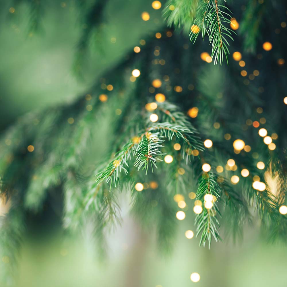 Holiday Sparkle