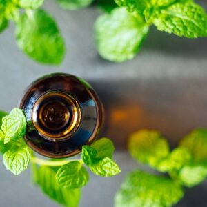 Peppermint and Cypress