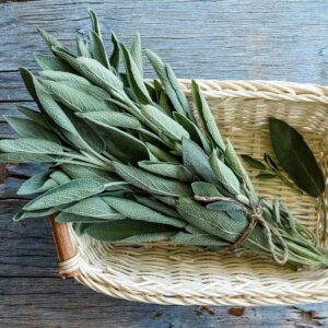 Sage