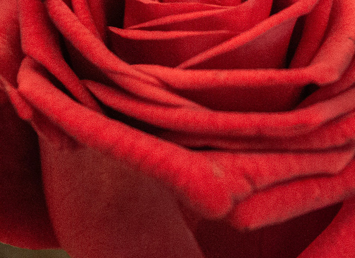 How to Make Rose Candles