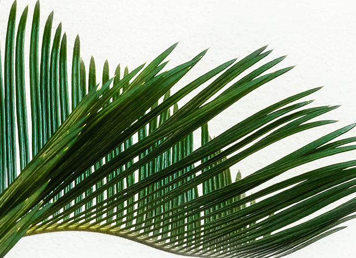 Textured Palm Wax Candle Craft Project