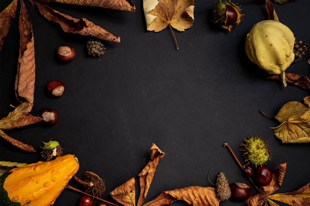 Fall