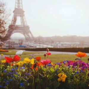 BBW Type Paris Amour