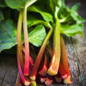 Rhubarb & Honey
