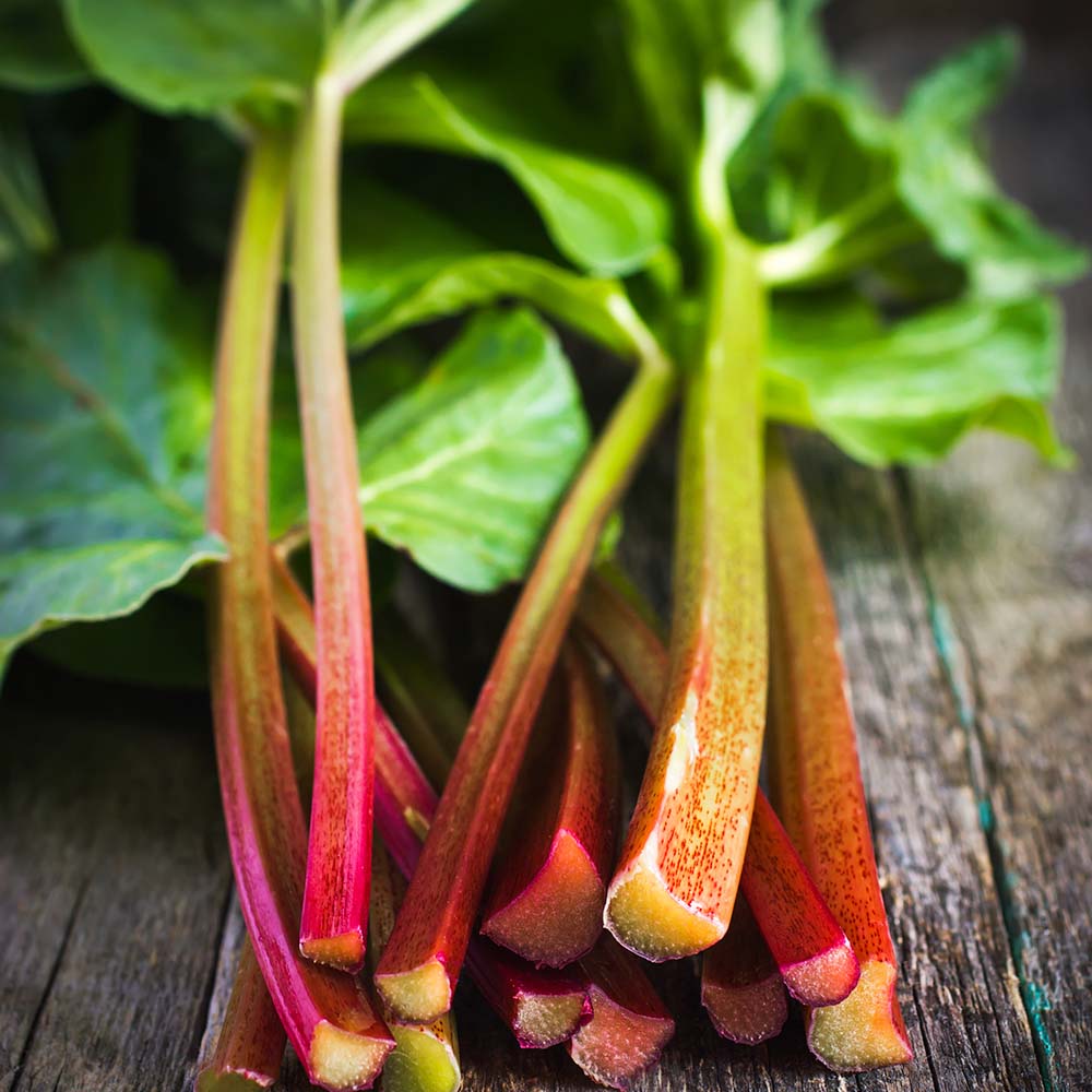Rhubarb & Honey