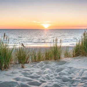 Sand & Sea Spray