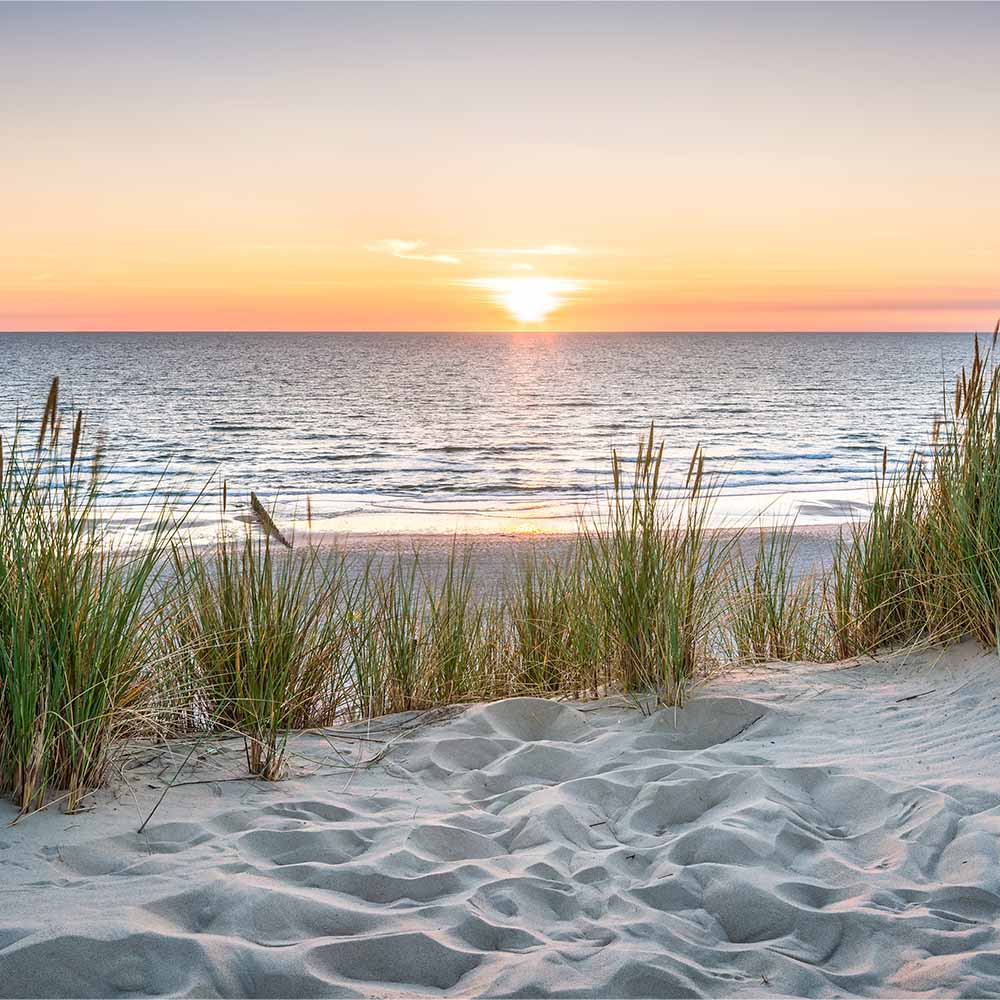 Sand & Sea Spray