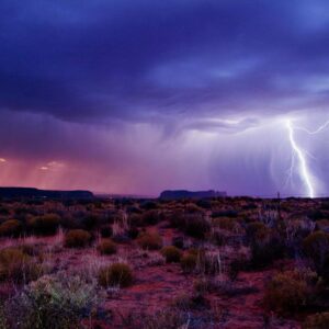 Desert Rain