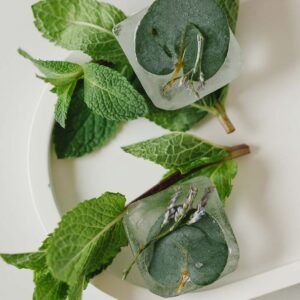 100% Natural Scent - Eucalyptus & Mint