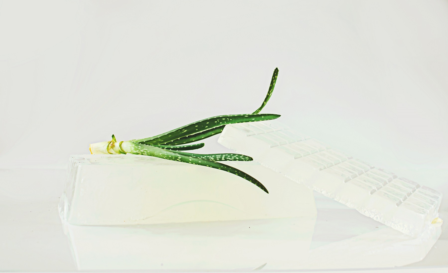 Aloe Vera - Melt and Pour Soap Base - Image 2