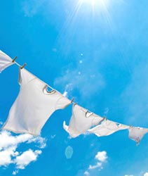 Fresh Linen - Image 2