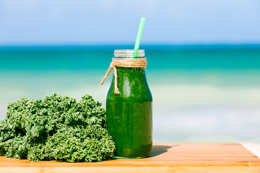 Coastal Kale Fragrance Oil - Image 2