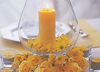 160 Melt Point Wax - 5560