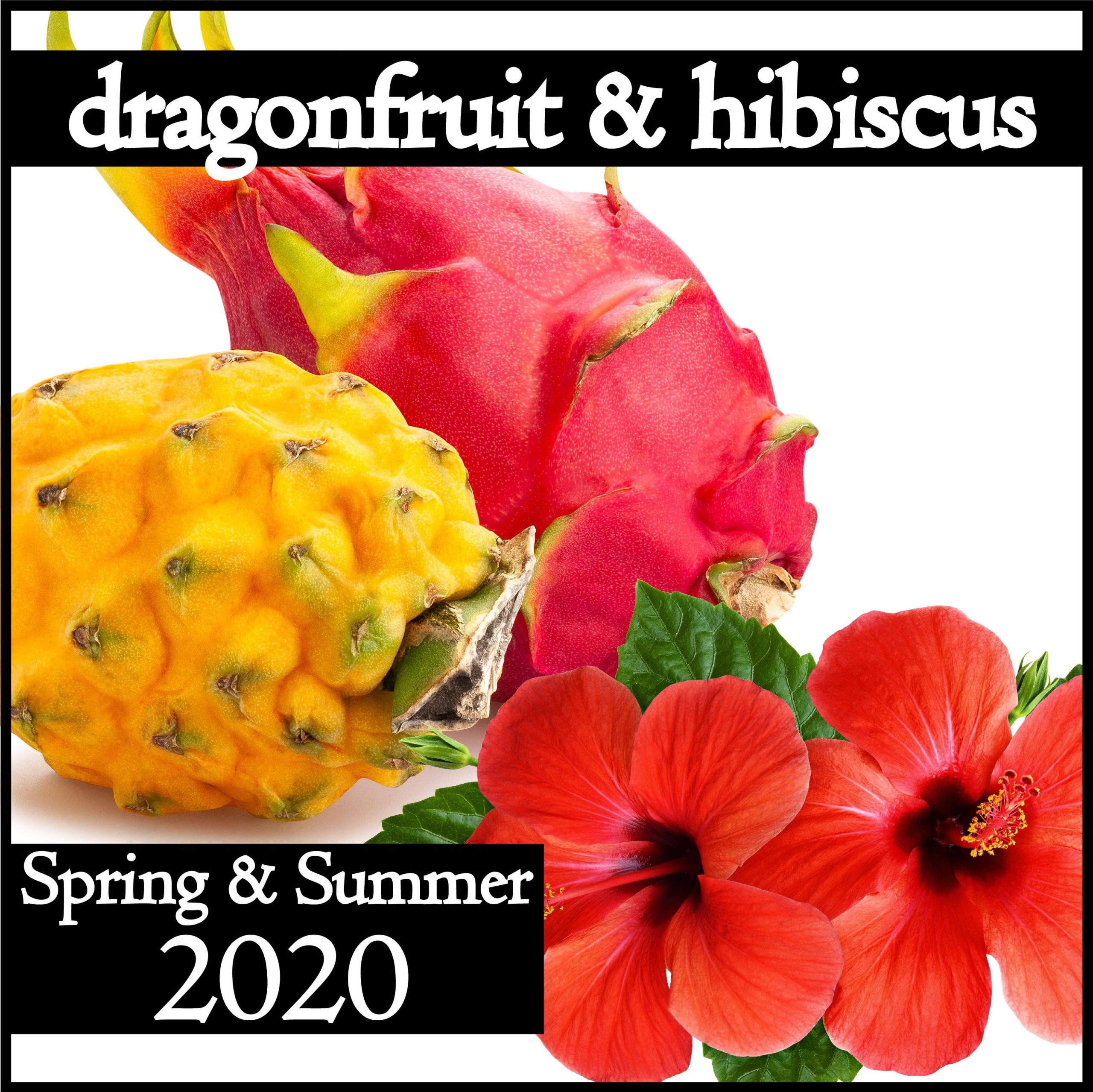 Dragonfruit & Hibiscus - Image 2