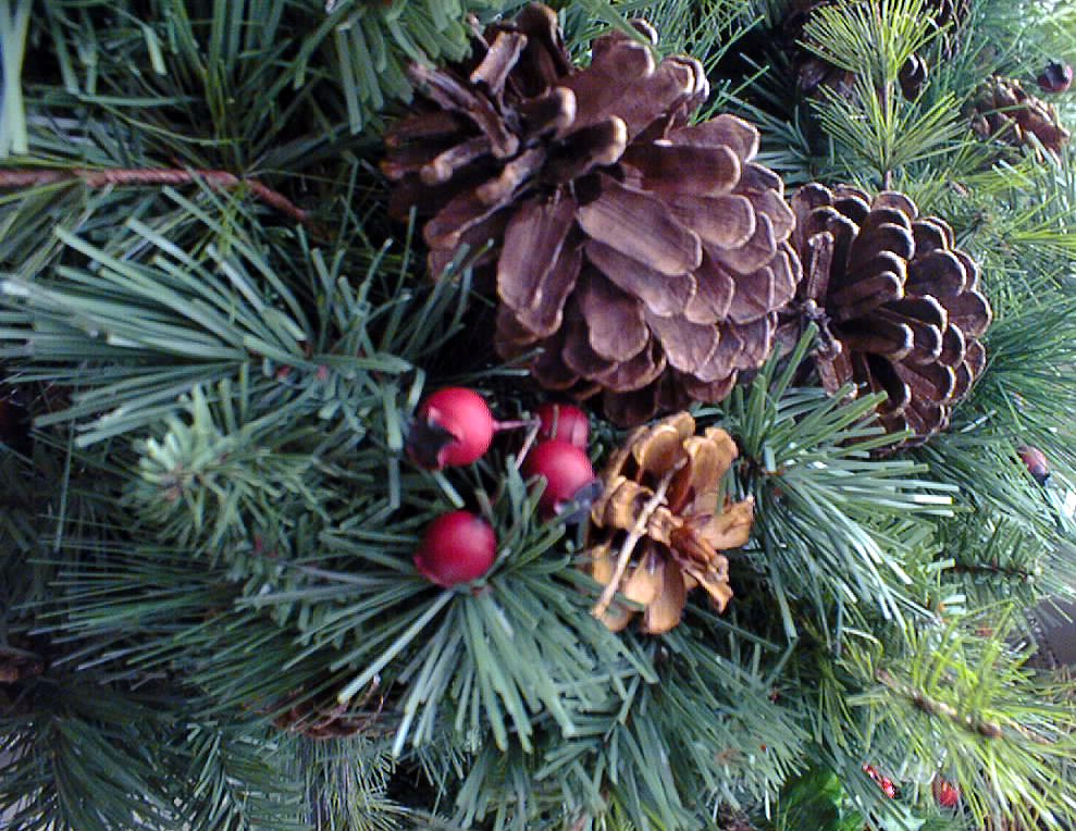Christmas Essence - Image 2